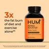HUM Ripped Rooster Natural Green Tea Extract Capsules with Chromium, 7 Keto DHEA, Gluten Free Vegan Green Tea Supplement to Support Cravings, Healthy Diet & Management, 60 Count view 3