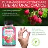 NUVIMI - Raspberry Ketones - 4000 mg - Natural Dietary Food Supplement to Help Support Healthy Keto Diet for Men & Women - 120 Vegan Capsules view 3