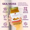 Healthy Herbs Sea Moss Gel (Yellow Dock) Wildcrafted from Jamaican St Lucia Gold Seamoss | Wild-Harvested Superfood with Over 90 Essential Vitamins & Minerals | Vegan, Non-GMO, US-Made (16 oz.) view 3