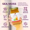 Healthy Herbs Sea Moss Gel (Aloe Vera Honey) Wildcrafted from Jamaican St Lucia Gold Seamoss | Wild-Harvested Superfood with Over 90 Essential Vitamins & Minerals | Vegan, Non-GMO, US-Made (16 oz.) view 3