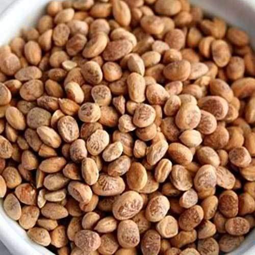 NatureVit Almondette Seeds [Chironji or Charoli] (250.00 gm)