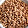 NatureVit Almondette Seeds [Chironji or Charoli] (250.00 gm) view 1