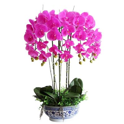 Artificial Orchid Bonsai with Ceramics Vase, Feel PU Real Touch Flowers Phalaenopsis Bonsai for Table Office Home Party Decoration