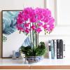 Artificial Orchid Bonsai with Ceramics Vase, Feel PU Real Touch Flowers Phalaenopsis Bonsai for Table Office Home Party Decoration view 2
