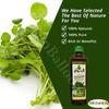 bonballoon Watercress Seed Oil Nasturtium Officinale Rucola Cress Roquette Arugula Rugula Cold Pressed Pure Natural Herbal Hair Skin Body (Weight : 35.2 oz / 1000 ml) view 4