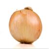 4 Pound Whole Sweet Candy Onion -Country Creek Acres Brand- Sweet, Tasty, and Full of Nutrients! view 1
