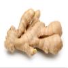 Ginger, Whole Root, 8 OZ, Country Creek Acres Brand- Savory, Tasty, and Full of Nutrients! view 2