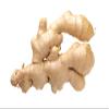 Ginger, Whole Root, 8 OZ, Country Creek Acres Brand- Savory, Tasty, and Full of Nutrients! view 4