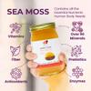 Healthy Herbs Sea Moss Gel (Natural) Wildcrafted from Jamaican St Lucia Gold Seamoss | Wild-Harvested Superfood with Over 90 Essential Vitamins & Minerals | Vegan, Non-GMO, US-Made (16 oz.) view 3