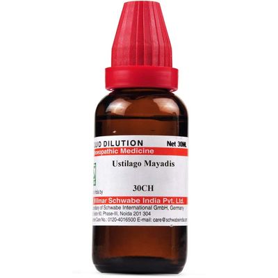 Willmar Schwabe Homeopathy Ustilago Maydis (30 CH) (30 ML) by Qualityexports