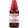 Willmar Schwabe Homeopathy Ustilago Maydis (30 CH) (30 ML) by Qualityexports view 1