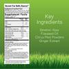 Irwin Naturals Stored-Fat Belly Burner with Sinetrol, Grapefruit, Sweet Orange & Blood Orange - Breakdown Stubborn Fat - 60 Liquid Softgels (Pack of 2) view 2