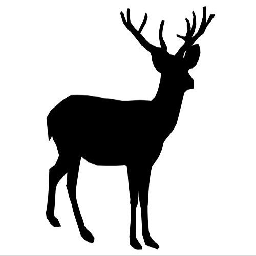 1/2 Sheet - Deer Hunting Birthday - D24667 - 2D Edible Cake Cupcake Party Topper