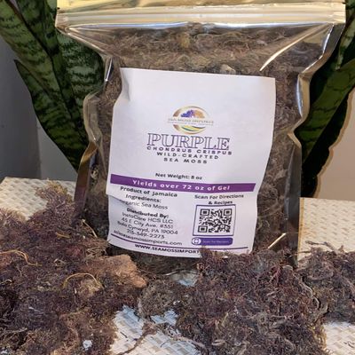 Raw Purple Sea Moss Bulk (8oz) Makes Over 140OZ of Gel Wildcrafted in Jamaica Irish Sea Moss Wild Harvested Vegan Organic Sundried Seaweed