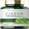 Carlyle Cissus Quadrangularis | 200 Capsules | Traditional Herb Extract Supplement | Non-GMO and Gluten Free Formula view 1