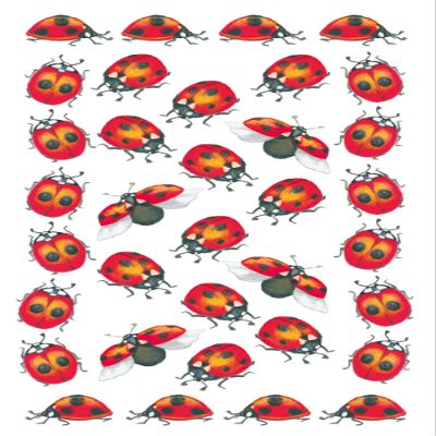 BSB Furniture Sticker Paper Standard