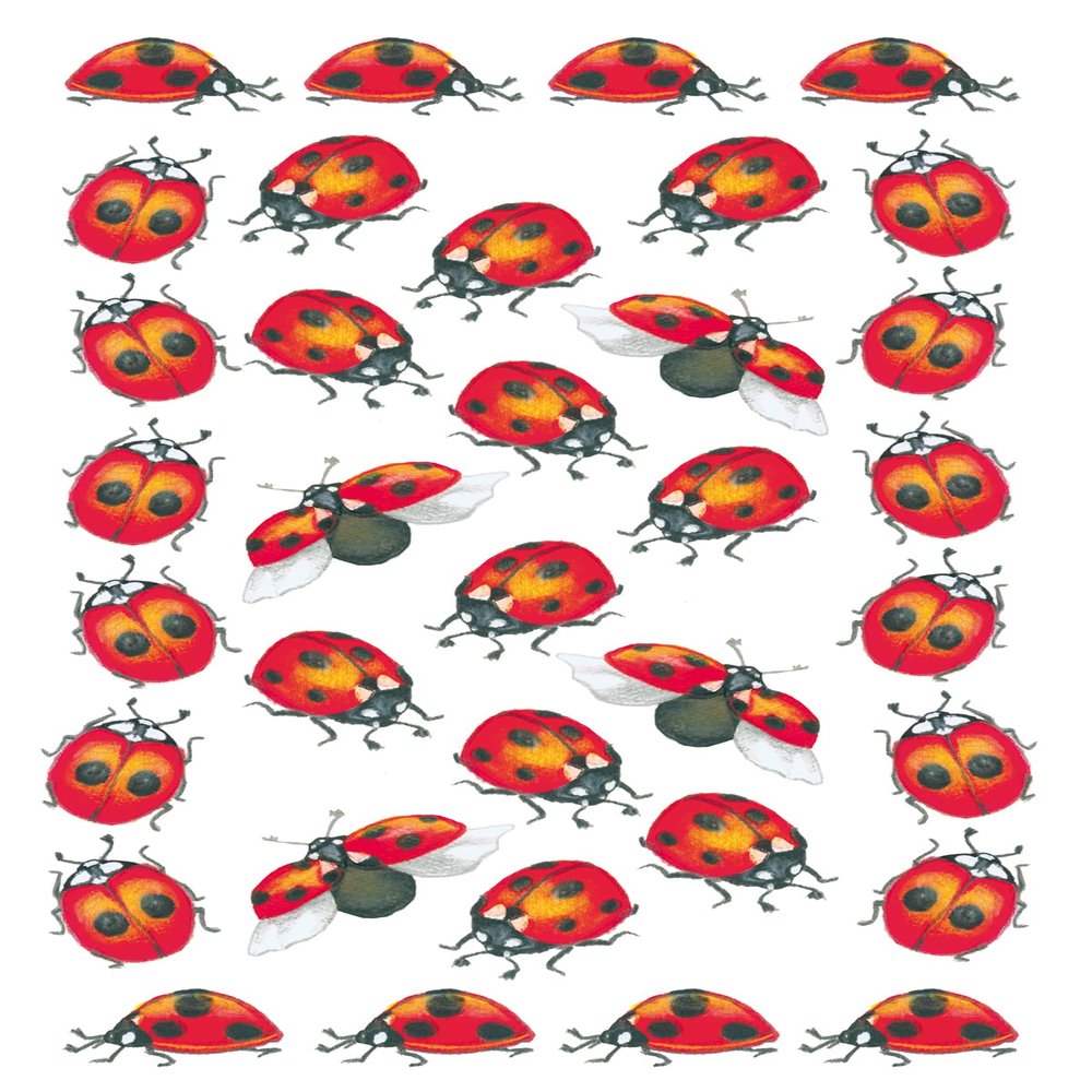 BSB Furniture Sticker Paper Standard