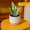 Costa Farms Snake Plant, Live Sansevieria Indoor Houseplant in 4-Inch Decorative Pot, 8-12 Inches Tall, Low Light Air Purifying Succulent, Easy Care Room Decor Gift view 2