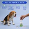 Milk Thistle for Dogs - 120 Chewable Tablets - Silymarin - Liver and Kidney Support with EPA & DHA - Detox - Liver Supplement for Dogs with Choline and L-Arginine view 2