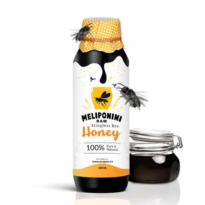 Meliponini - Stingless Bee Honey, Antioxidant-Rich Raw, A Powerful Alternative to Manuka, Tasty Sweet and Sour Pure with Many Health Benefits, 500 ml