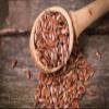 Bagicha Flax Seeds (Alsi) for Eating- Omega -3 Rich/Fiber Rich 1 Kilo Grams view 3