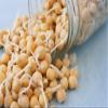 Garbanzo Bean Seeds for Sprouting Microgreens, 16 oz A Rich Source of Vitamins and Minerals and Health-Promoting Nutrients! "COOL BEANS N SPROUTS" Brand, A Small Town Family Run USA Business view 2
