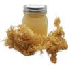 Authentic Wildcrafted Irish Sea Moss Gel view 1