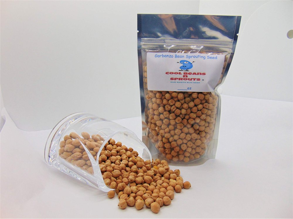 Garbanzo Bean Seeds for Sprouting Microgreens,4 oz A Rich Source of Vitamins and Minerals and Health-Promoting Nutrients! "COOL BEANS N SPROUTS" Brand, A Small Town Family Run USA Business