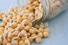 Garbanzo Bean Seeds for Sprouting Microgreens,4 oz A Rich Source of Vitamins and Minerals and Health-Promoting Nutrients! "COOL BEANS N SPROUTS" Brand, A Small Town Family Run USA Business view 2