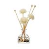 ericotry 50ml Square Glass Diffuser Bottle, Clear Empty Container view 1
