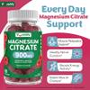 YUM-V'S Magnesium Citrate Gummies  900mg Highly Absorbable Magnesium Gummies for Women & Men to Support Nerve, Muscle & Enzyme Function  Gluten-Free, Kosher & Raspberry Flavor (90 Count) view 2