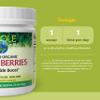 Whole Earth & Sea from Natural Factors, Beets & Berries Antioxidant Boost with Beets, Acai & More, 6.6 oz Powder view 3