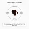 CYMBIOTIKA Adults Elderberry Boost Supplement  Organic Elderberry with Vitamin E for Immune Support  Gluten-Free, Vegan, Keto (Pack of 26) view 4