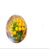 Aji Charapita - Fresh Premium Peppers (200 pc Fresh Pepper in Deco Glass) view 4