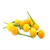 Aji Charapita - Fresh Premium Peppers (50 pc Fresh Pepper in Deco Glass) view 3