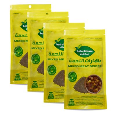 Bab Elsham Mix Mixed Meat Spices Powder Ground Spice Seasoning Natural Pure Premium Herbs Herbal Vegan No Gmo Food Strong Smell Delicious Cooking Halal (4 Pack = 5.64 oz / 160 gm)   