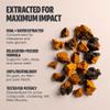 FreshCap Mushrooms Chaga Mushrooms Capsules 14,000mg - Mushroom Extract Antioxidants Supplement, Herbal Supplements, Ayurveda Nootropic Immunity Supplements (120 Capsules) view 4