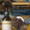 RAW Forest Foods Twelve Rivers Functional Mushroom MycoMedic Elixir Tincture  1:2 True Dual-Stage Extraction  Spiced Winter Chai  4 Fluid Ounce Bottle view 2
