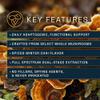 RAW Forest Foods Twelve Rivers Functional Mushroom MycoMedic Elixir Tincture  1:2 True Dual-Stage Extraction  Spiced Winter Chai  4 Fluid Ounce Bottle view 3