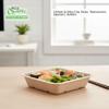 EcoQuality [50 PACK 16oz Disposable Rectangular Container Take Out Food Tray - Natural Sugarcane Bagasse Bowl Bamboo Fibers Sturdy Compostable Eco Friendly Environmental Paper Alternative view 4