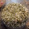 Brand, Mung Bean Seeds for Sprouting Microgreens,16 ounces, A superfood packed with antioxidants and health-promoting nutrients. A family run USA business, "COOL BEANS n SPROUTS" Jacobs Ladder Ent. view 2