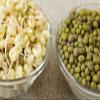 Brand, Mung Bean Seeds for Sprouting Microgreens,16 ounces, A superfood packed with antioxidants and health-promoting nutrients. A family run USA business, "COOL BEANS n SPROUTS" Jacobs Ladder Ent. view 3
