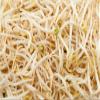 Brand, Mung Bean Seeds for Sprouting Microgreens,16 ounces, A superfood packed with antioxidants and health-promoting nutrients. A family run USA business, "COOL BEANS n SPROUTS" Jacobs Ladder Ent. view 4