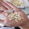 500 Grams (1.1 Lb.) Sliced American Ginseng Slice, (Sliced Diameter 0.4-0.6cm) Panax quinquefolium/Panax quinquefolius, from Changbai Mountain. view 3