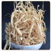 Wild Ginseng Fibrous Root, Ginseng Rootlet, TANGIBLE Benefits - 500 Grams (1.1 Lb.) view 1