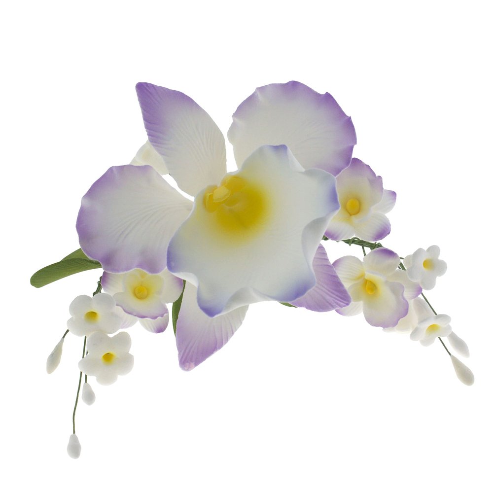 Global Sugar Art Cattleya Orchid Arched Spray Sugar Cake Flower, Violet, 1 Count by Chef Alan Tetreault