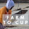 Revocup 24oz Fair Trade Organic Ethiopian Yirgacheffe Whole Bean Coffee, USDA Certified, Blueberry & Floral Notes Specialty Single-Origin Coffee (Brews 40+ Cups @ 9 oz each) view 2