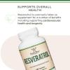 Resveratrol Supplement 500mg Per Serving, 120 Capsules (Resveratrol Polygonum Root Extract Providing 50% Trans Resveratrol) Healthy Aging Support by Double Wood view 3