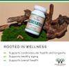Resveratrol Supplement 500mg Per Serving, 120 Capsules (Resveratrol Polygonum Root Extract Providing 50% Trans Resveratrol) Healthy Aging Support by Double Wood view 4