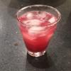 Wild Prickly Pear Cactus Cocktail Syrup view 3